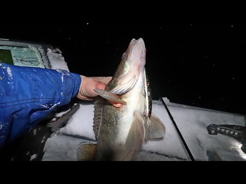 Видео: ЭТА ПРИМАНКА ДОСТАЕТ СУДАКА ИЗ КОРЯГ!!! СУГРОБ В ЛОДКЕ! Рыбалка на судака со спиннингом.