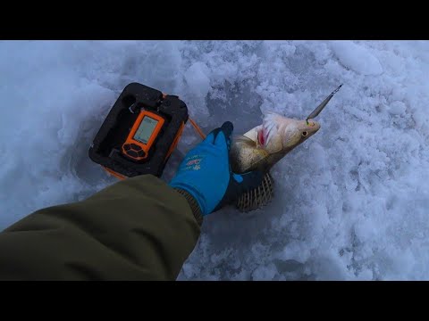 Видео: СУДАК ВЫРЫВАЕТ удочку из РУК! РЫБАЛКА на СУДАКА с ЭХОЛОТОМ ПРАКТИК 6М