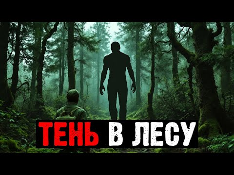 Видео: СЕКРЕТНЫЙ ЛЕС В ПРИМОРЬЕ: КАКУЮ ТЕНЬ ЗАСНЯЛА ЭКСПЕДИЦИЯ В 1981 ГОДУ?