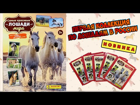 Видео: PANINI Новинка! Альбом для наклеек Самые красивые лошади мира 2023 год.Обзор и распаковка пакетиков!