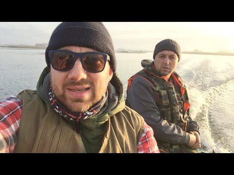 Видео: В Сорокошичи за щукой  2019 Приключение ВНЕ ДОМА