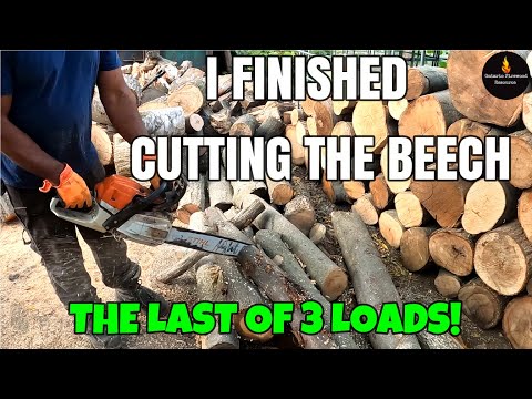 Видео: ОКОНЧАТЕЛЬНАЯ РАСКРОЙКА 3 БУКОВЫХ #ДРОВ