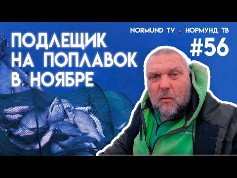 Видео: Маховый подлещик в ноябре - капризный, строптивый, но на уговоры поддаётся. Но56