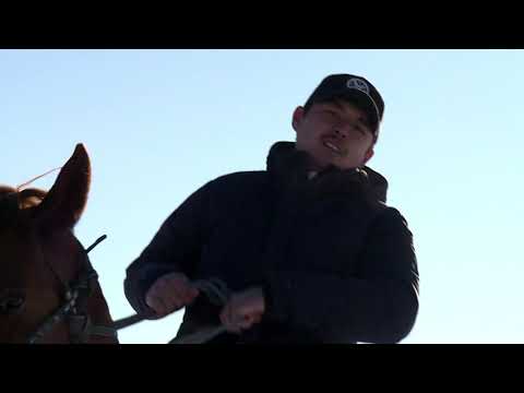 Видео: Тайбегілік!