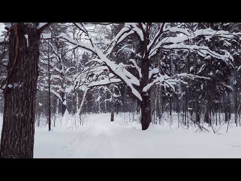 Видео: В последний день зимы...