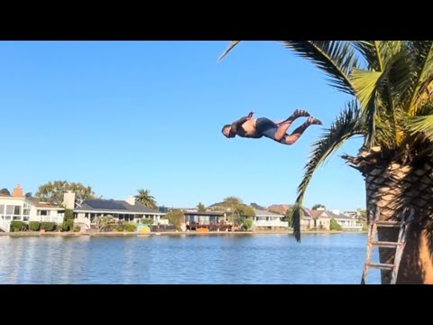 Видео: Обрезка канарских пальм и прыжок с вышки над заливом