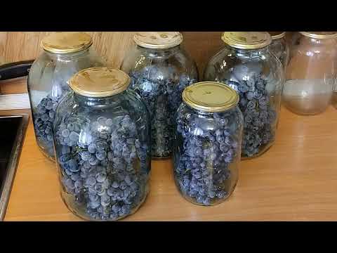 Видео: Виноград, виноград - компот из винограда