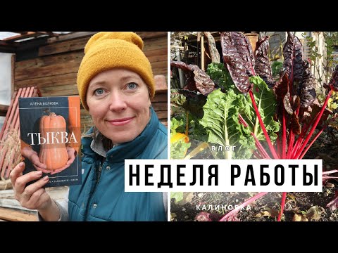 Видео: Я вернулась! Влог за неделю / Посадка и уборка / Чеснок, лук, тюльпаны