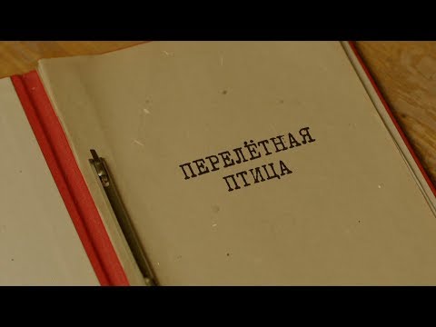 Видео: Перелётная птица | Вещдок. Особый случай. Чужое богатство