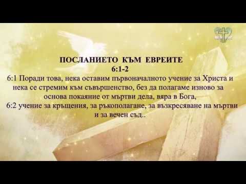 Видео: П-р. Дани