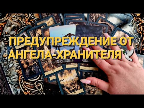 Видео: 🕊😇ВАШ АНГЕЛ НА СВЯЗИ😇🕊#таро #таросила #ангелхранитель #послание #посланиеотангелов  #tarot #гадание 