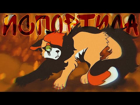 Видео: Коты Воители ~ Zarkovskaya - Испортила [Клип]