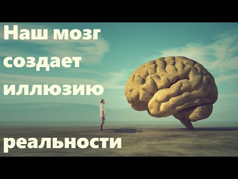 Видео: Наш мозг создает иллюзию реальности
