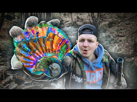Видео: НАШЕЛ РЕДКИЙ АММОНИТ! Поиск ОКАМЕНЕЛОСТЕЙ **Я НЕ ПОВЕРИЛ**
