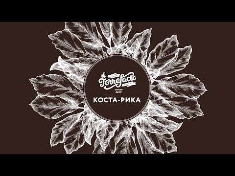 Видео: Об условиях произрастания кофе