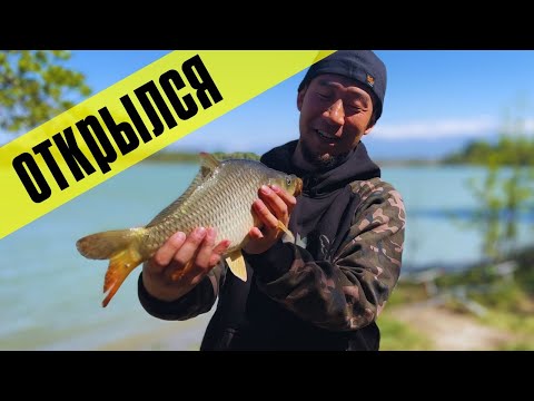 Видео: Открыл сезон 2023 по карпу, озеро Октябрьское 3, рыбалка близ Алматы, рыбалка на КОСМИЧЕСКОМ озере