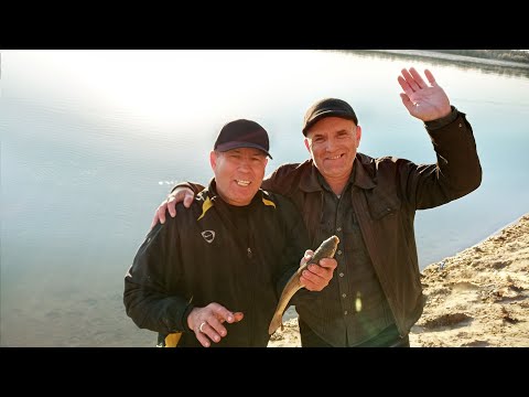 Видео: Сыр-Дарья осенью. Отдохнули - порыбачили.