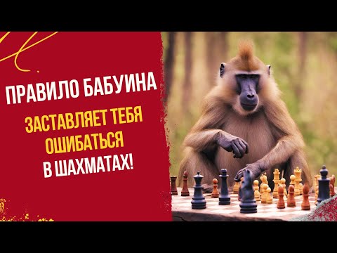 Видео: Правило бабуина заставляет тебя ошибаться в шахматах!