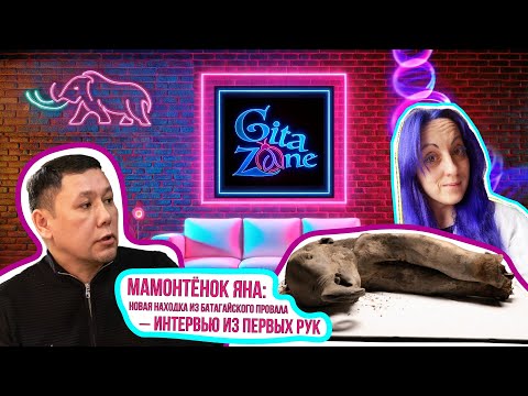 Видео: Мамонтёнок Яна: новая находка из Батагайского провала — интервью из первых рук.