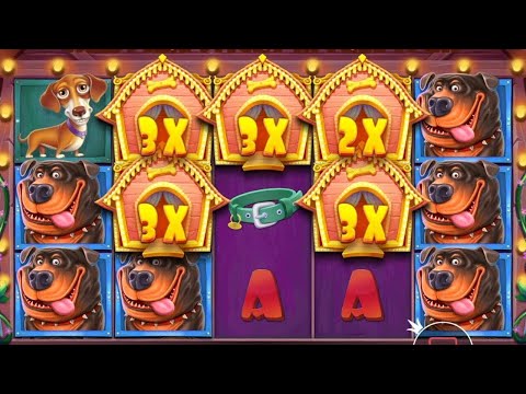 Видео: НАЛОВИЛ БОНУСОВ НА 70.000Р ОТ 100 ДО 200 РУБЛЕЙ В THE DOG HOUSE / ЗАНОСЫ НЕДЕЛИ