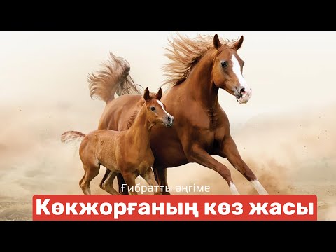 Видео: Кокжорганын коз жасы әңгіме