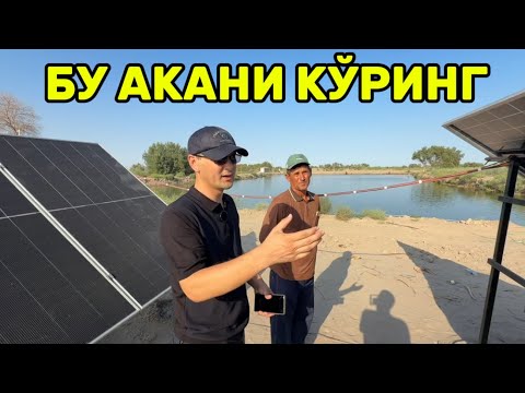 Видео: КУЁШ ПАНЕЛ ТУ́ЛИК ЭФЕКЕТ ОПТОМ НАРХДА ЯШИЛ ЭНЕРГИЯ АРЗОНЛАДИ!