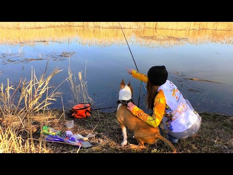 Видео: ЭТА ПРОТОКА КИШИТ РЫБОЙ! Весенняя рыбалка на поплавок 2023