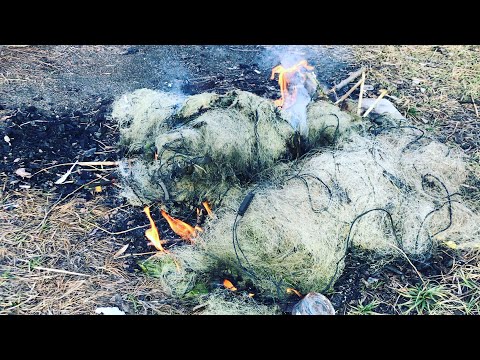 Видео: Сожги сеть браконьера, закрой лодочный сезон!