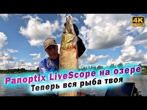 Видео: Panoptix LiveScope - Стоит ли покупать для ловли щуки на озере