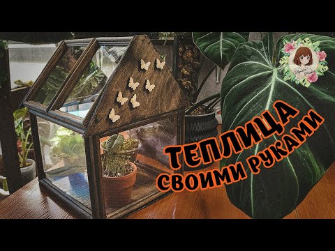 Видео: 🙌🏻🌱 ТЕПЛИЦА ИЗ ФОТОРАМОК: ИНСТРУКЦИЯ ОТ ЧАЙНИКА #растения #теплица #plants #greenhouse #handmade