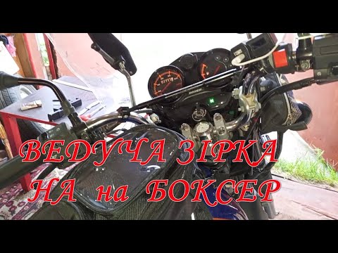 Видео: Баджаж  БОКСЕР 16 ведуча зірка
