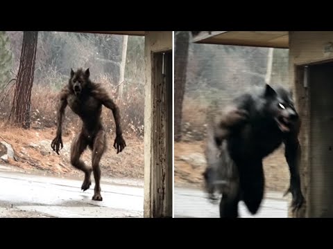 Видео: "DOGMAN УБИЛ МОЕГО НАПАРНИКА": Офицер Полиции в МИЧИГАНЕ Рассказал о УЖАСНОЙ встрече...