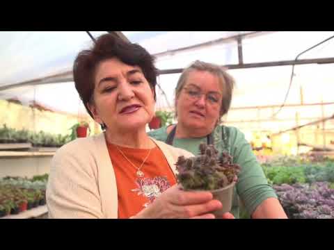 Видео: 16 октября 2025 г.