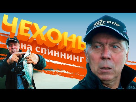 Видео: Как поймать чехонь на спиннинг. Валерий Новосадов.