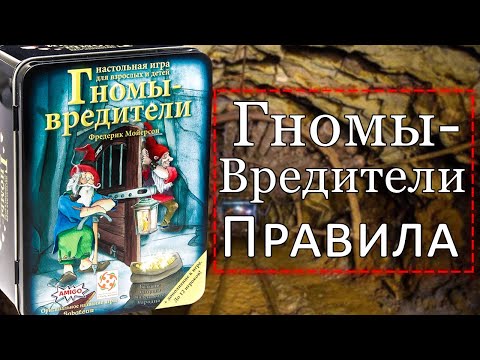 Видео: Как играть в настольную игру гномы-вредители?