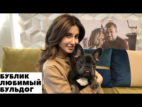 Видео: Французский Бульдог Бублик/Самая Любимая Собака