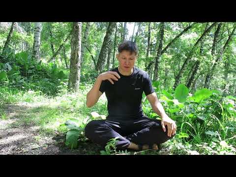 Видео: Мастер Цигун раскрывает секреты практики! Наполняем энергетический центр. Цигун 2 ступень.