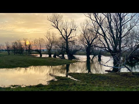 Видео: ЛУЖА  ГЛУБИНОЙ 37 СМ КИШИТ ОТ РЫБЫ рыбалка на карася весной