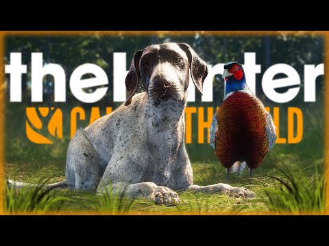 Видео: ВНИМАНИЕ, ОХОТНИКИ, ОБЩИЙ СБОР! ОТКРЫТИЕ СЕЗОНА! | theHunter Call of the Wild 🐶 | Часть #1