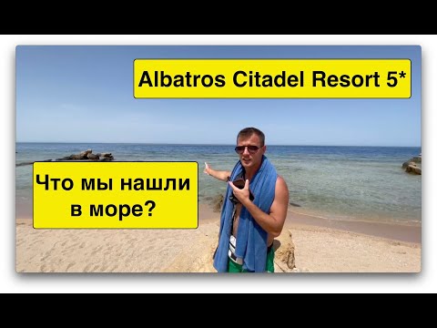 Видео: Египет 2021. Albatros Citadel Resort 5*. ЧТО МЫ НАШЛИ В МОРЕ? СМОТРЕТЬ ВСЕМ