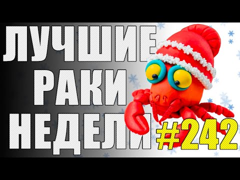Видео: ЛРН выпуск №242 🤪 ПОГОЛУБЕВШИЙ АРТОХЕЙТЕР и ЛЕЧЕБНЫЙ ЧЕМОДАН [Лучшие Раки Недели]