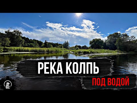 Видео: Река Колпь Красная горбатка Владимирская область