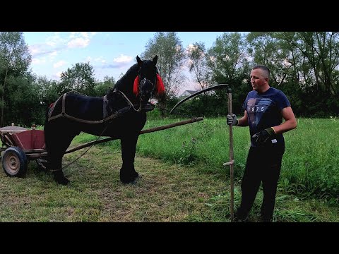 Видео: 🪗Накосив я трави🌾🌿 коню вороному🐴