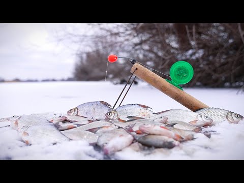 Видео: ЗИМНЯЯ РЫБАЛКА НА БОЛЬШОЙ РЕКЕ. ЖДАЛ ЭТУ РЫБАЛКУ ВЕСЬ ГОД.