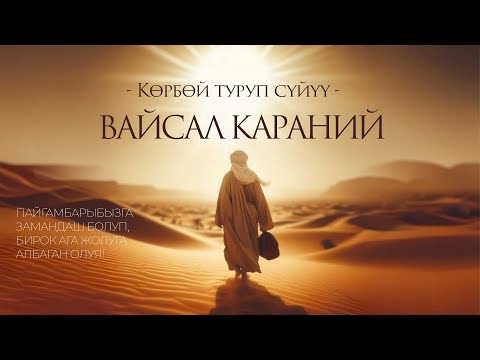 Видео: Ашыктык баатыры – Вайсал Караний.