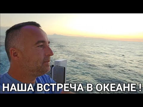 Видео: КАК ЛЮДИ БОРЮТСЯ С ОЖИРЕНИЕМ НА КОРАБЛЕ !!! 