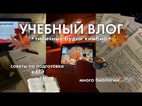 Видео: УЧЕБНЫЙ ВЛОГ химбио🧪📖🍂//осенние будни , советы по подготовке и бот по 7+ часов