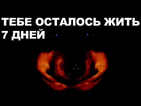 Видео: Dawg играет в СТРАШИЛКУ с Катей! МНЕ ПЛОХО!