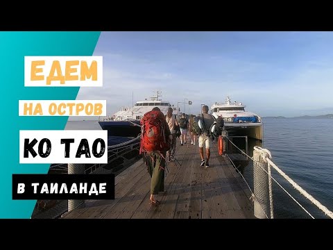 Видео: Едем на остров Ко Тао в Таиланде на автобусе из Бангкока