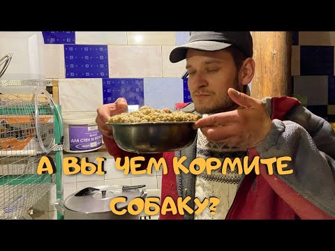 Видео: Каша для собаки |Натуральный корм |Чем кормить собаку/№9